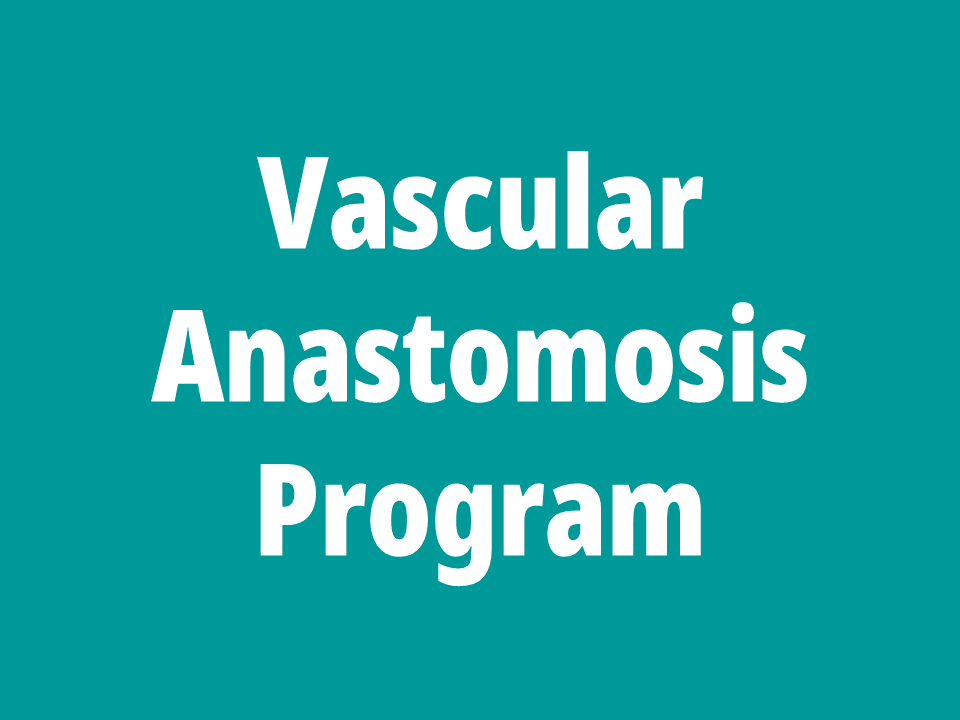 vascular anastomosis.png